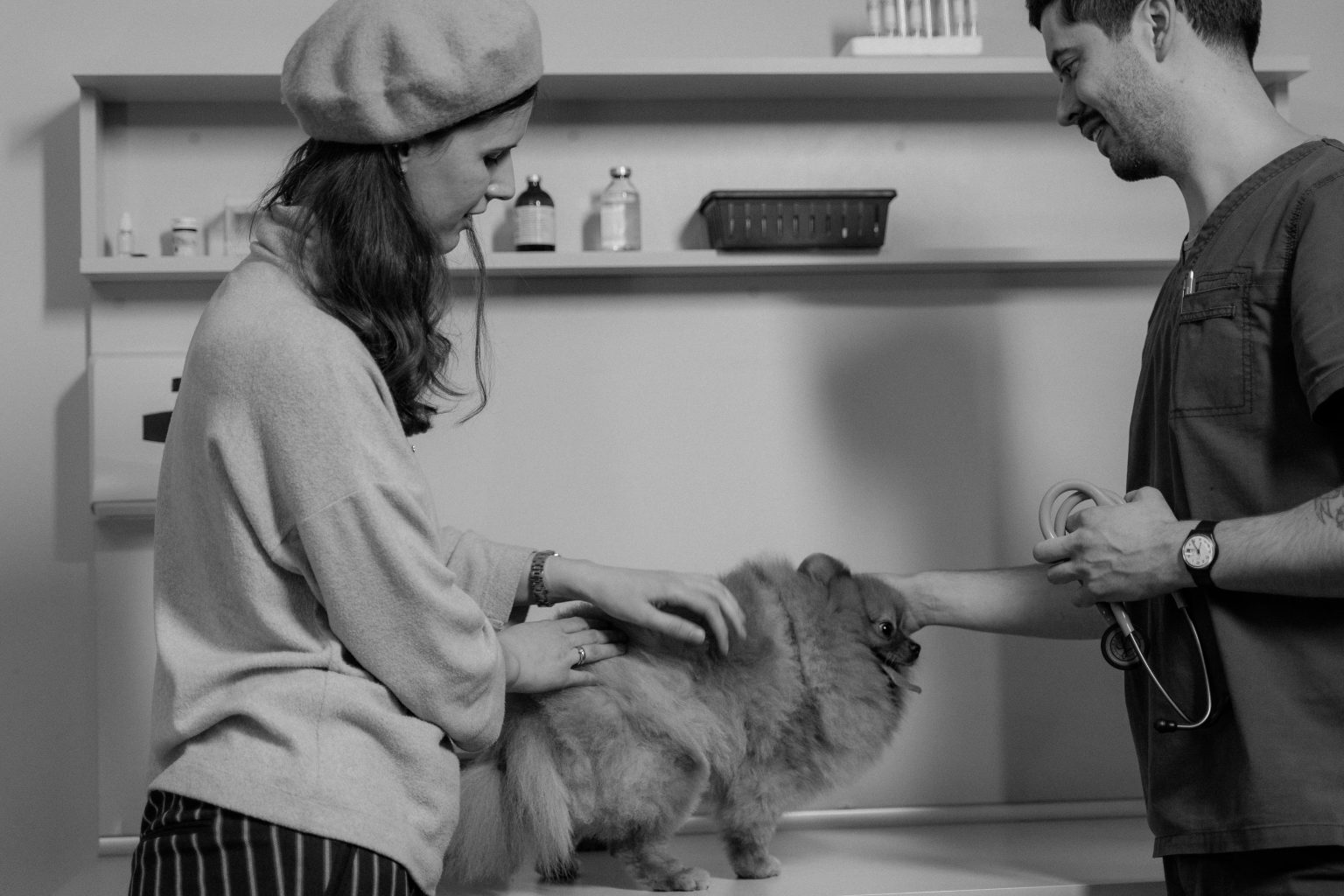 Pet owner with veterinarian and dog