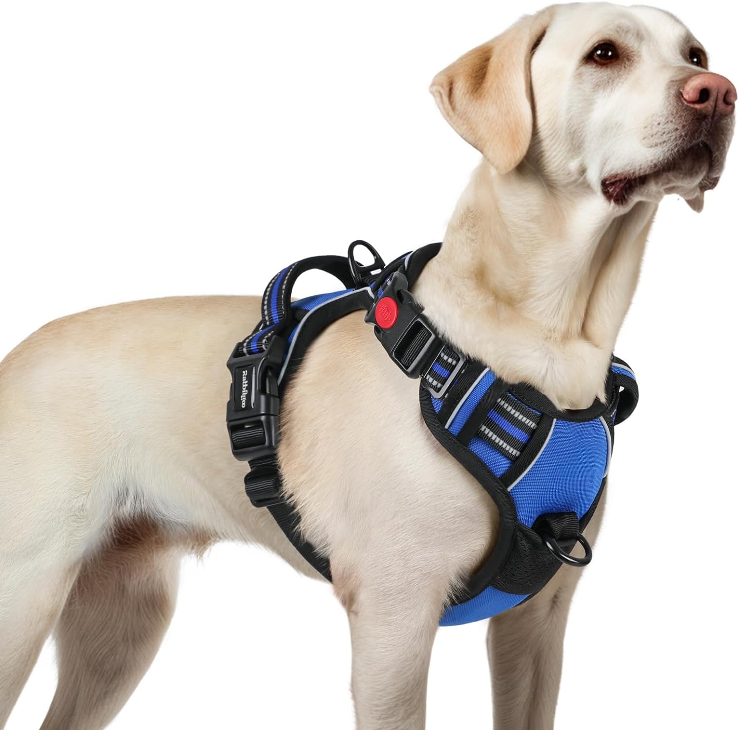 Rabbitgoo No-Pull Dog Harness