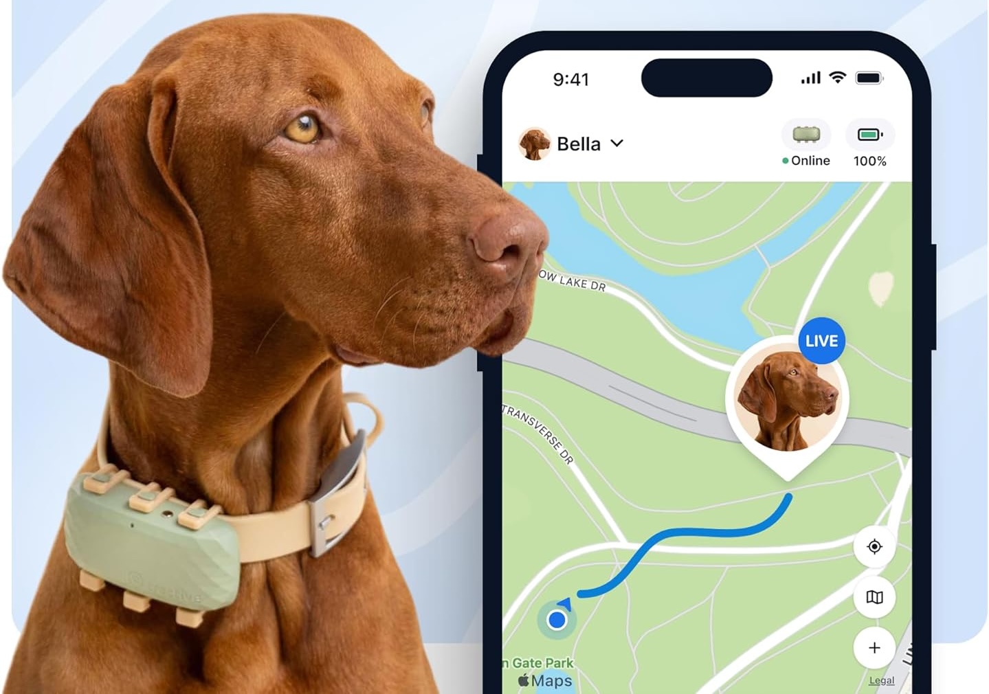 Tractive XL GPS Dog Tracker